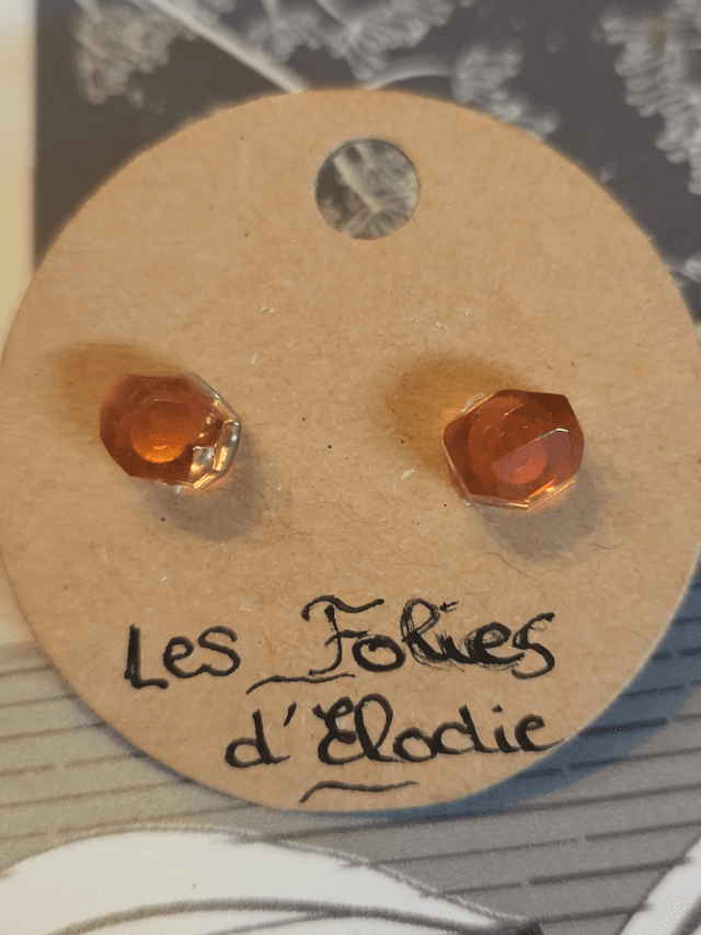 Boucles d&#039;oreilles puce